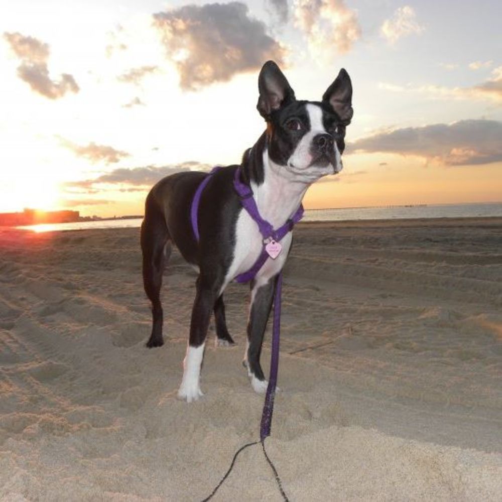 Meet your Posher, Tammy